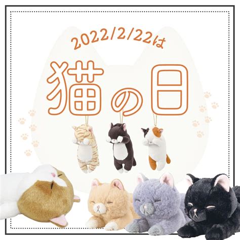 2月22|【日本文化】2月22日は何の日？猫の日の歴史やイベ。